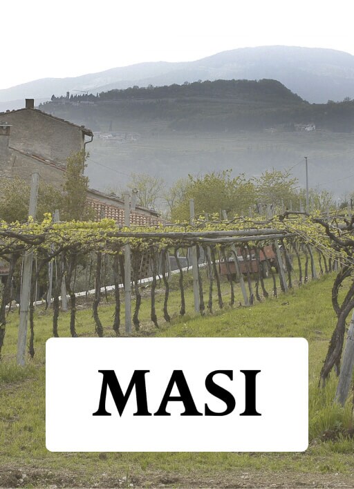 Masi wines